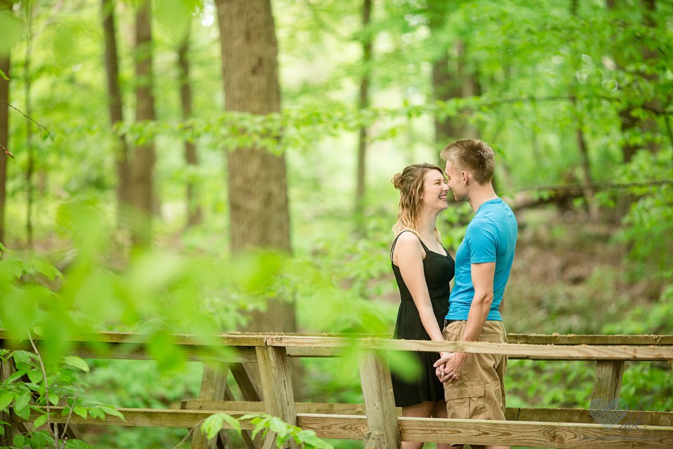 Grand Ledge engagement photographs Lincoln brick park